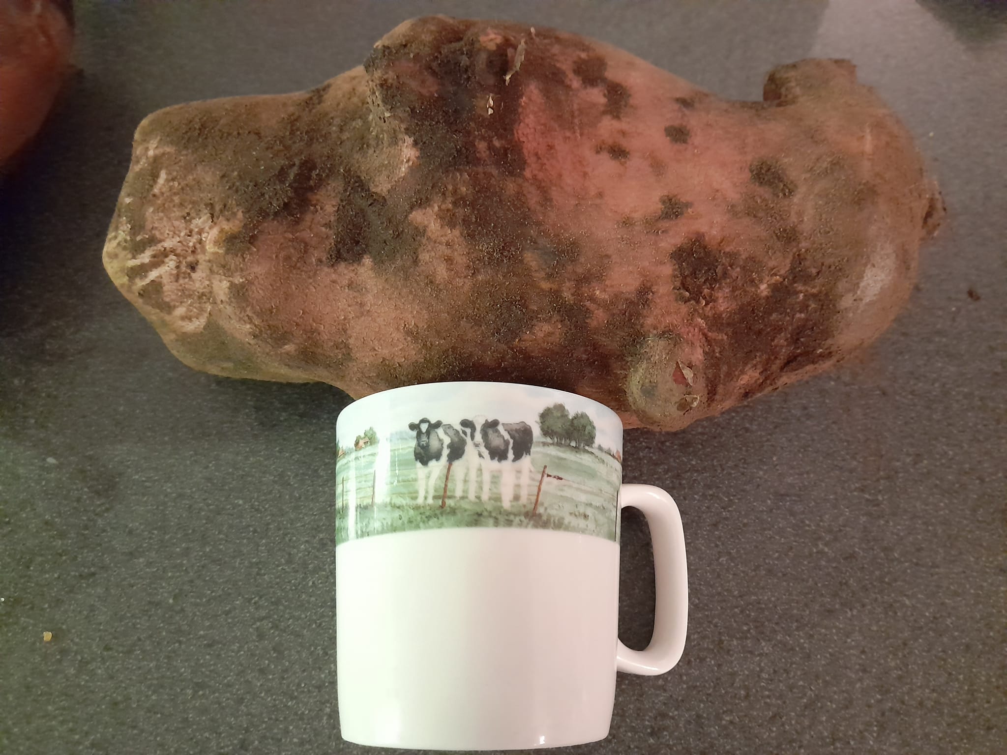 Bereikbaarheid Boerderijwinkel Lensink